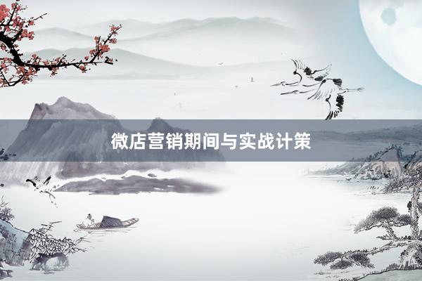 微店营销期间与实战计策